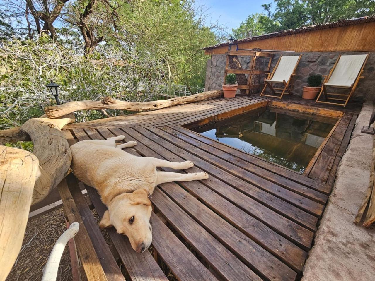 Anka Lodge Quitor San Pedro de Atacama Exterior photo