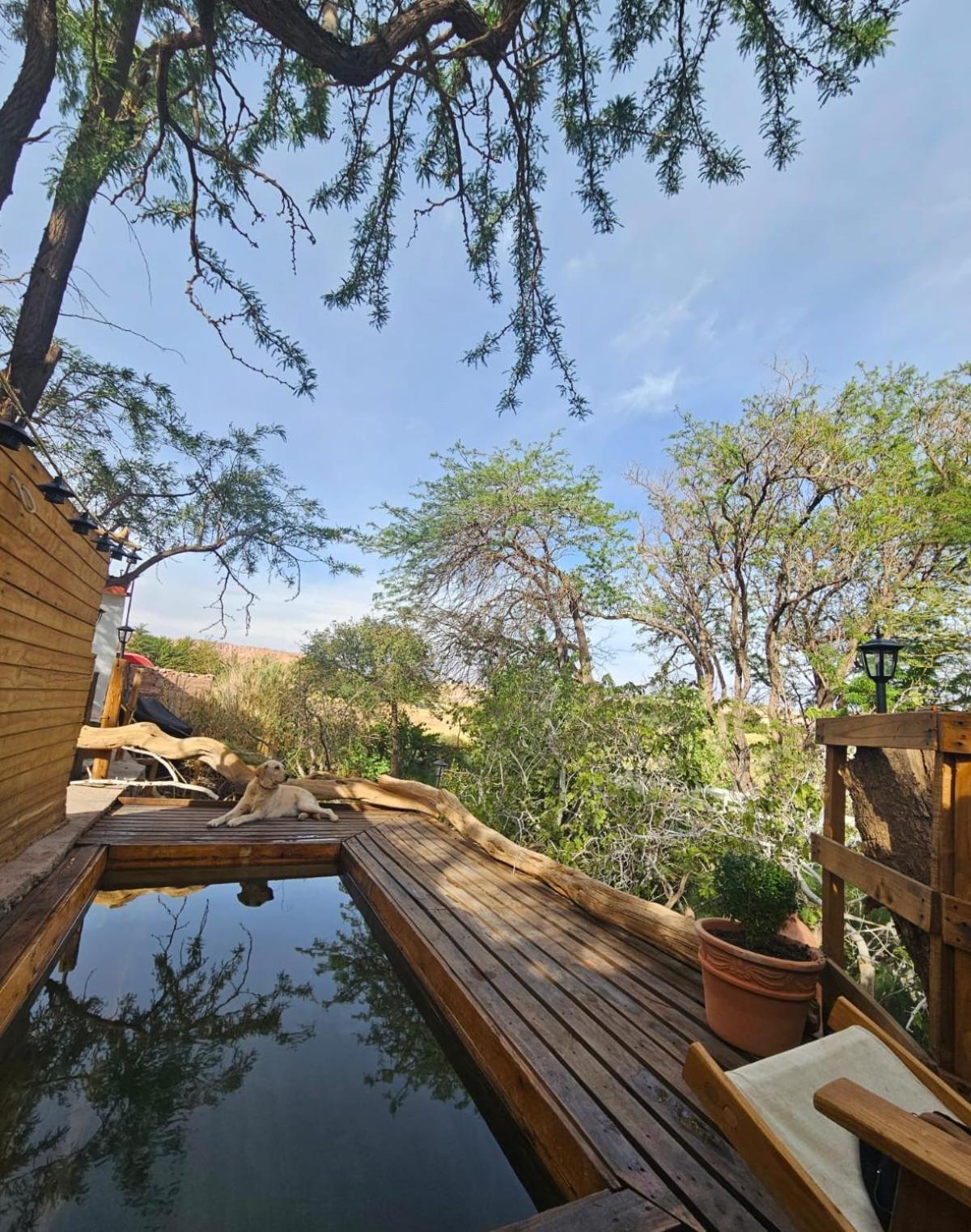 Anka Lodge Quitor San Pedro de Atacama Exterior photo